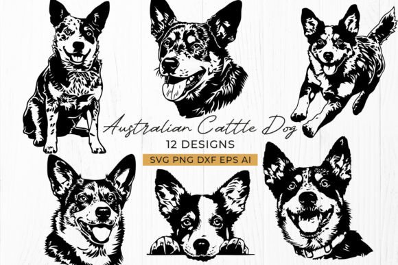Australian Cattle Dog Blue Heeler SVG