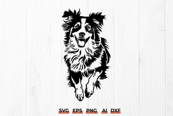 Australian Shepherd Dog Pet Portrait Svg