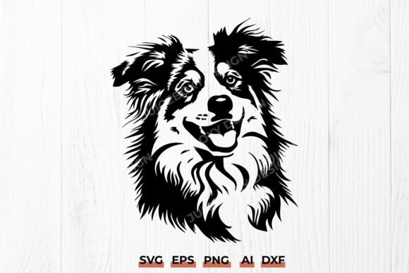 Detailed Australian Shepherd Dog Face