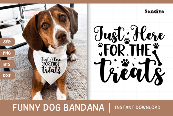 Funny Dog Bandana Quotes SVG 11