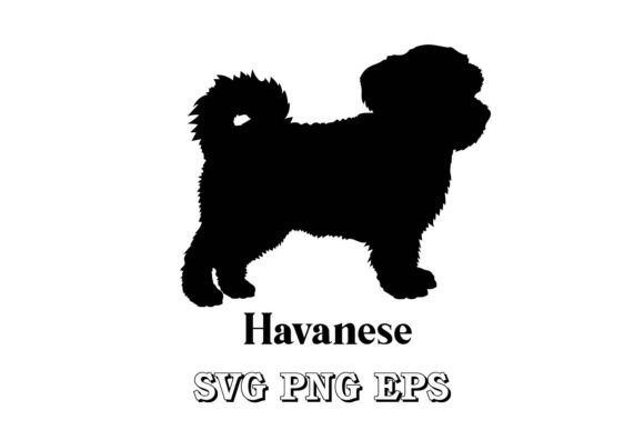 Havanese Dog Silhouette SVG